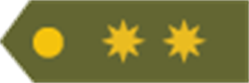 Teniente Coronel GCv